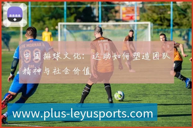 中国排球文化:运动如何塑造团队精神与社会价值