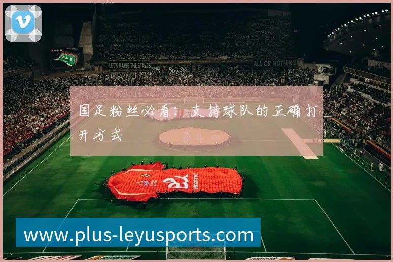 国足粉丝必看:支持球队的正确打开方式