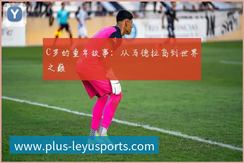 企业概况