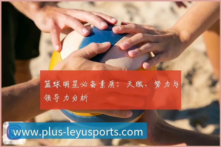 登录器 登录器