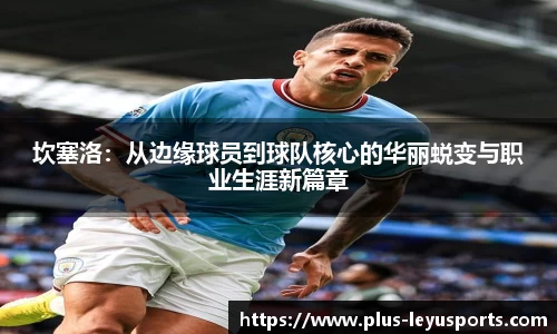 坎塞洛：从边缘球员到球队核心的华丽蜕变与职业生涯新篇章
